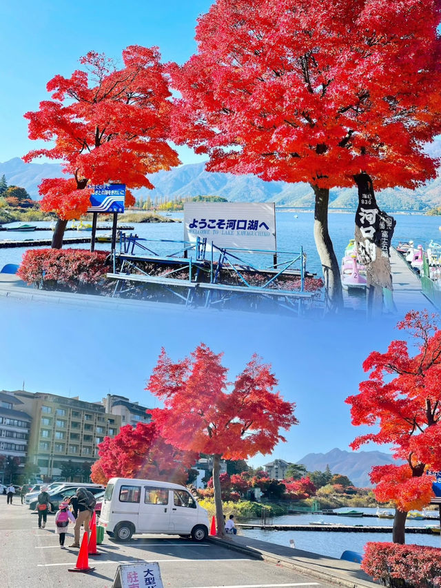 Autumn Splendor at Lake Kawaguchi