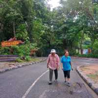 น้ำตกตาดโตน จ.ชัยภูมิ