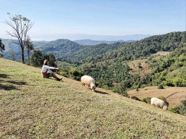 อาข่า ฟาร์มวิลล์ (Akha FarmVille)