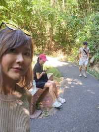ถ้ำนาคี  เศรียรพญานาคทั้ง 9  นครพนม