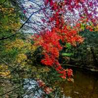 Steep Rock Preserve