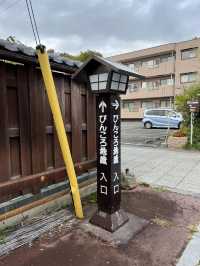 【佐久市】県内外から人が訪れる人気健康長寿スポット