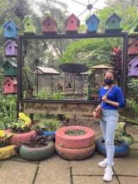 Malagos Birdfeeding Dome 🦜 