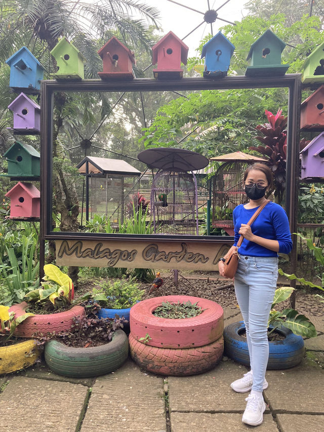 Malagos Birdfeeding Dome 🦜 