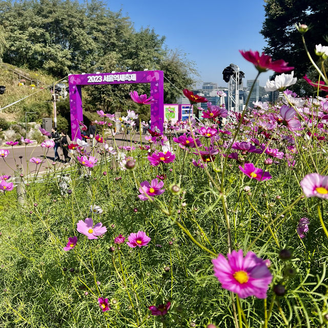 HANEUL PARK