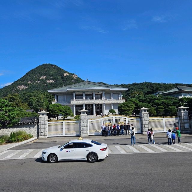 서울의 노랑버스투어를 아시나요?