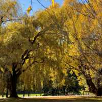 Wanaka is like a paradise for hiking