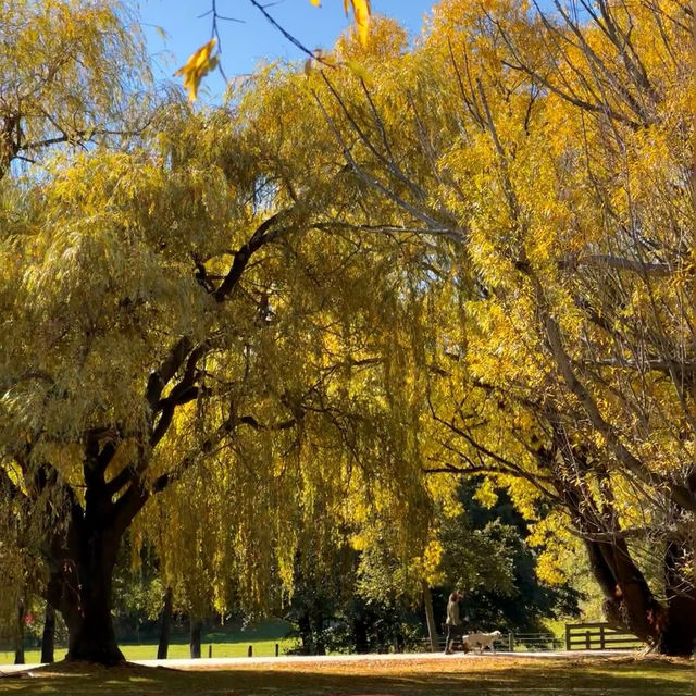 Wanaka is like a paradise for hiking