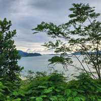  Tarzan Seaside Cafe: คาเฟ่บนเขาวิวอลังการ 