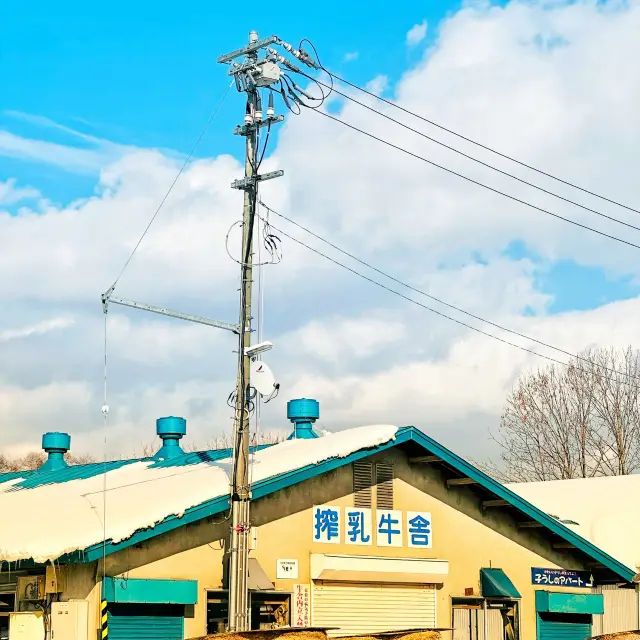 Hokkaido Dairy Farm