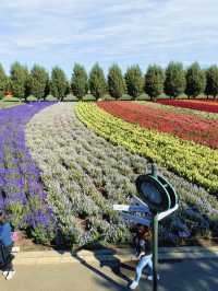 【カラフル💐北海道・富良野お花畑🪻】 