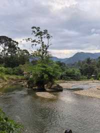 Things to do in Bukit Lawang 