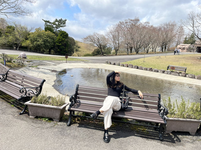 日本🇯🇵 九州自然動物園｜居然可以親自餵獅子🦁 超近距離接觸各種可愛的動物！