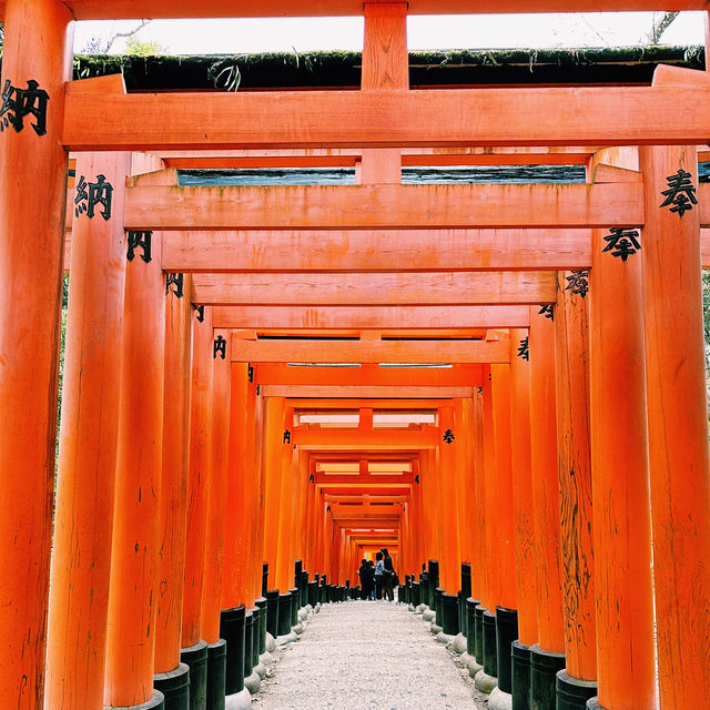 ⛩️超經典而壯觀的代表鳥居⛩️