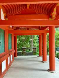 Nara’s Sacred Sanctuary ⛩️🦌