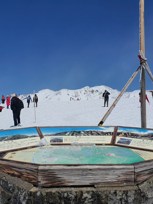 ❄️✨Tateyama 