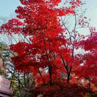 Nami Island