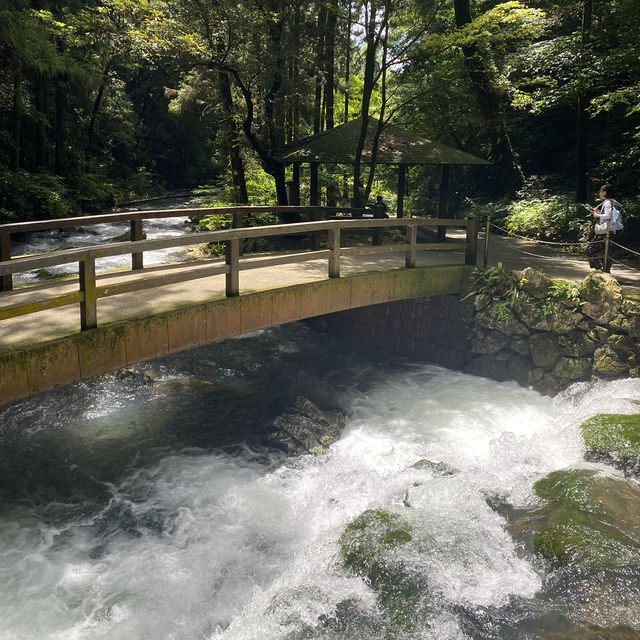 🇯🇵日本・山口/秋芳洞