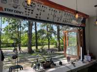 Cow Cafe by Horizon Farm 🐮🌳☕️
