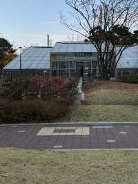 단지 중앙에 예쁜 단풍과 🌳 소담한 산책길을 경험할 수 있는 송파 공원 여행지 추천🍁