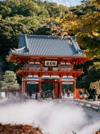 景點推薦：勝尾寺——觀景與祈福兼得的靜謐之地 
