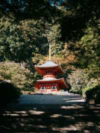 景點推薦：勝尾寺——觀景與祈福兼得的靜謐之地 