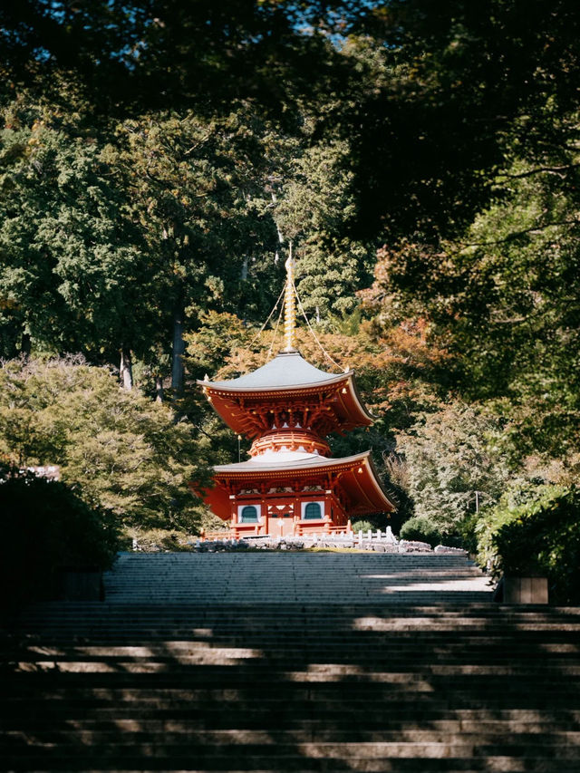 景點推薦：勝尾寺——觀景與祈福兼得的靜謐之地 