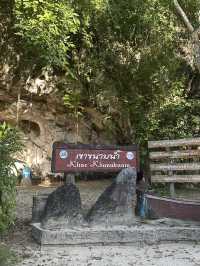 Serene River Cruise in Krabi Town! Exploring Caves and Mangrove Swamps
