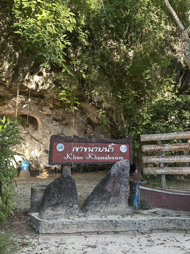 Serene River Cruise in Krabi Town! Exploring Caves and Mangrove Swamps