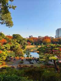 景點推薦：六義園——秋日東京的庭園秘境