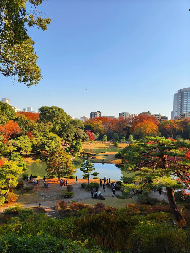景點推薦：六義園——秋日東京的庭園秘境