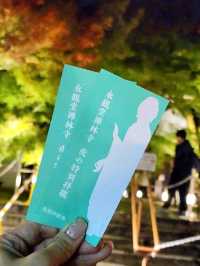 夜觀楓葉