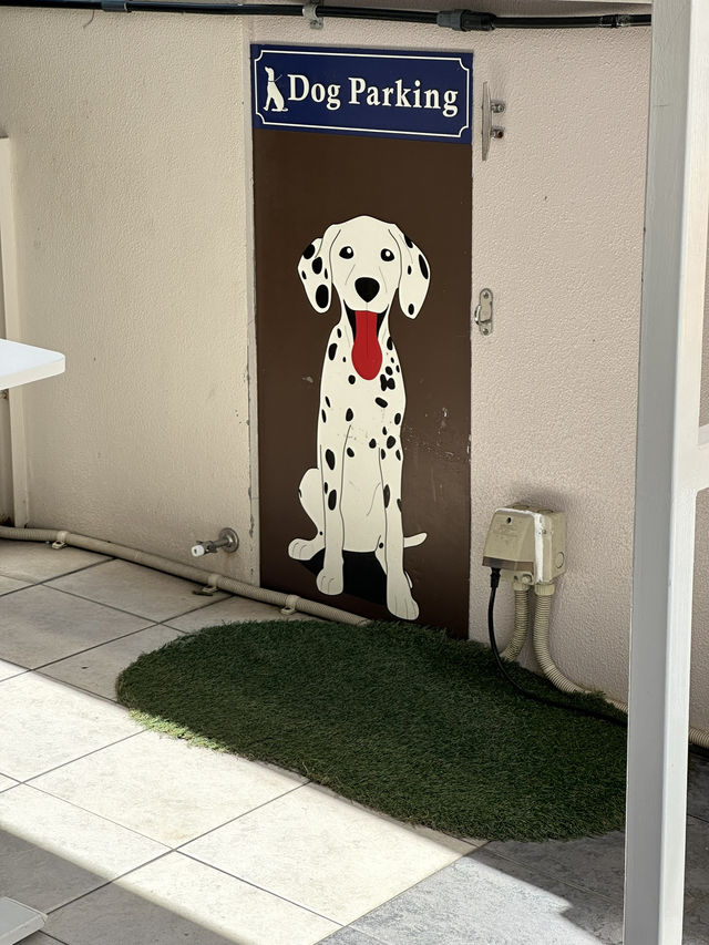  【兵庫県 夙川】100名店にも選ばれた最強のお土産エルベランクッキー