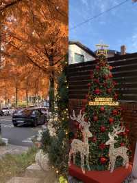 크리스마스와 가을을 한 번에 느낄 수 있는 곳 🎄