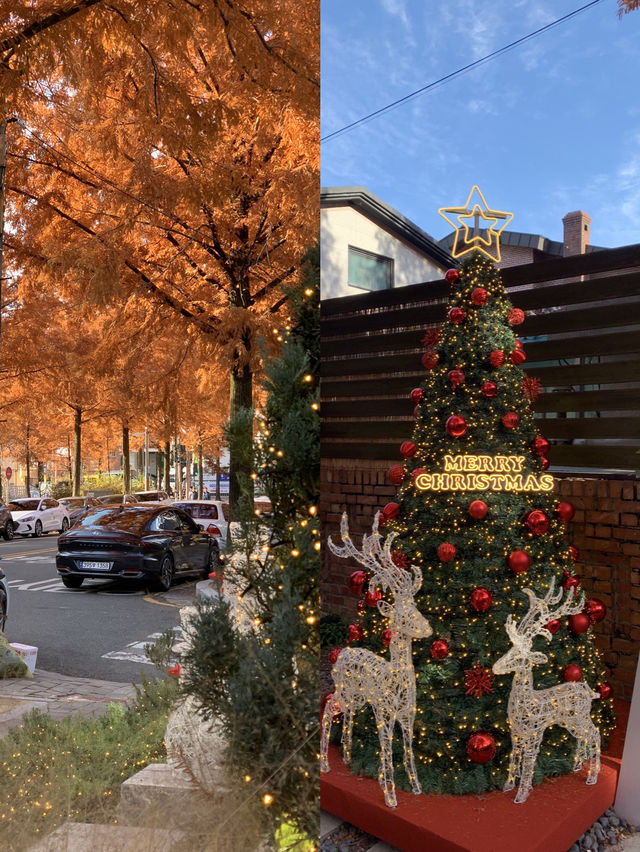 크리스마스와 가을을 한 번에 느낄 수 있는 곳 🎄