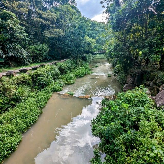 台北最佳親水步道：內湖大溝溪生態治水園區