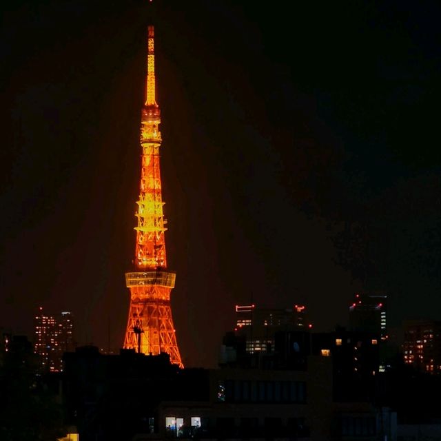 📸Shibuya Sky จุดชมวิวเมืองโตเกียวแบบ 360 องศา✨️