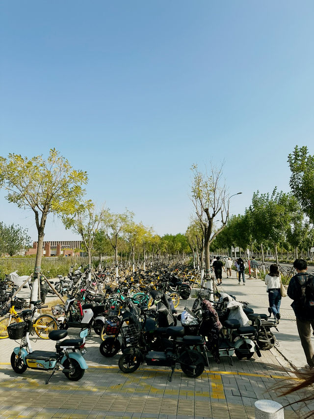 💕ไปเที่ยวเทียนจิน : Tianjin University 🏢