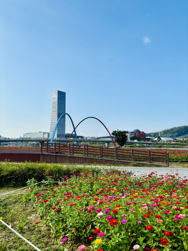 엑스포 수상공원