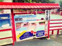 #別府🇯🇵かまど地獄#