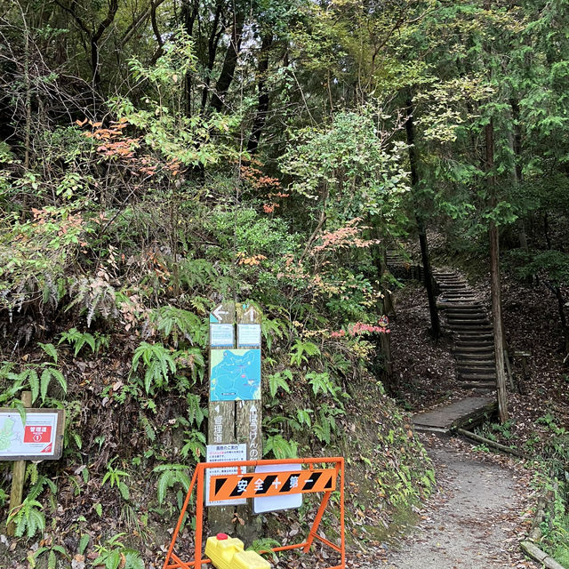 Hoshida Park และ สะพานแขวน Hoshi no Buranko