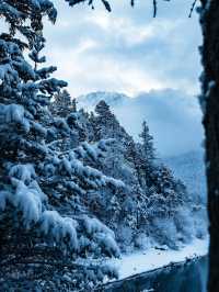 A Winter Guide to Eibsee lake