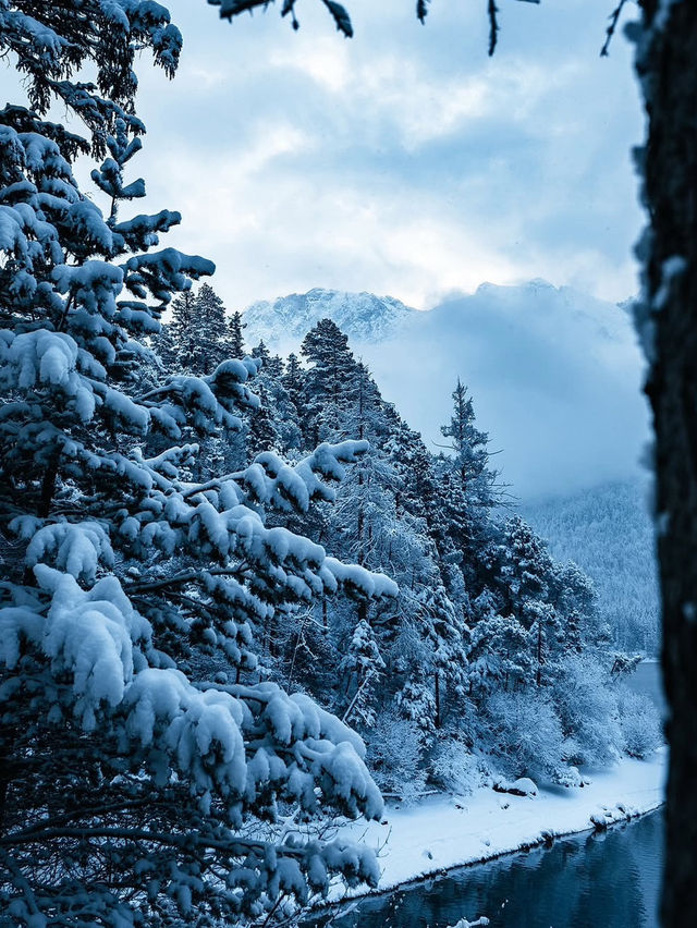 A Winter Guide to Eibsee lake
