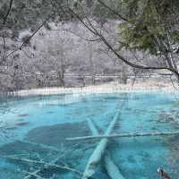 Day Trip Itinerary in Jiuzhaigou