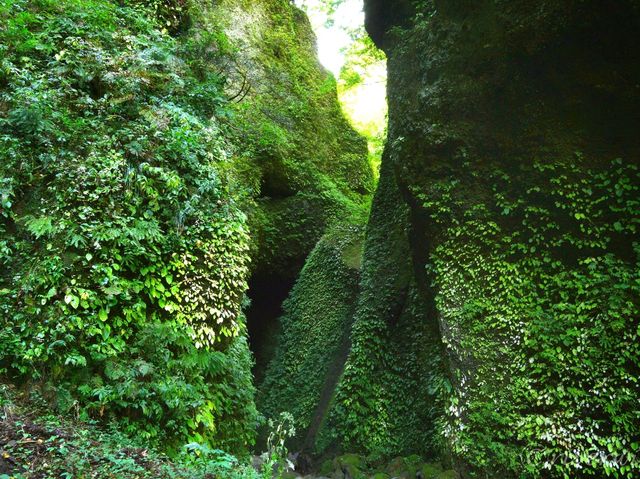 【兵庫県】兵庫の山奥にまさかの秘境滝！「シワガラの滝」