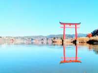 千葉🇯🇵龜山湖
