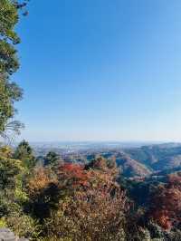 秋日高尾山，紅葉映照的心靈之旅