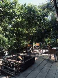 สุนทรี ภูเก็ต 