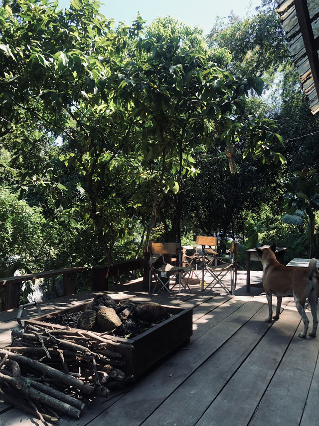 สุนทรี ภูเก็ต 