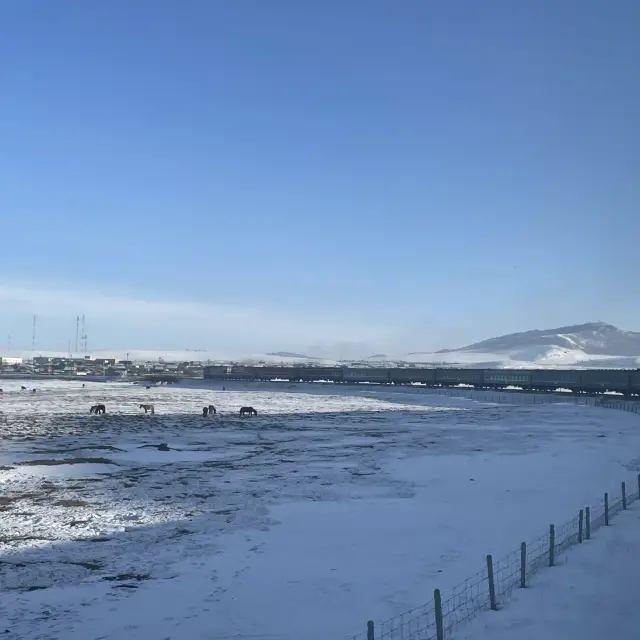 몽골 기차 여행 중 경치